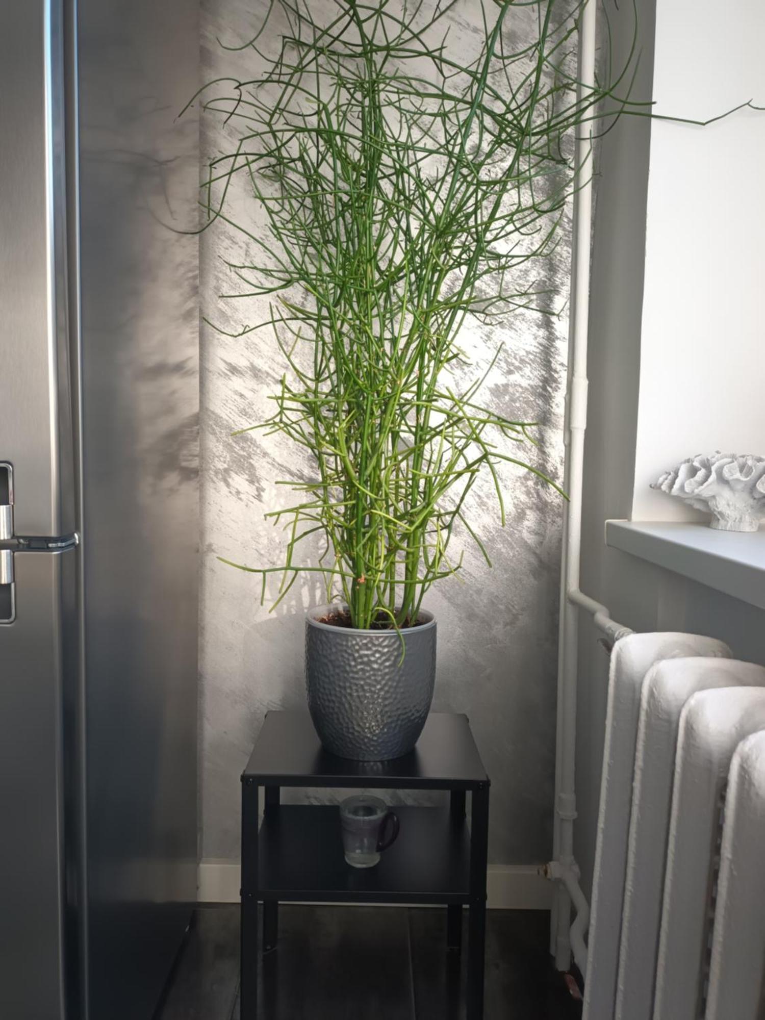 Apartment تالين المظهر الخارجي الصورة